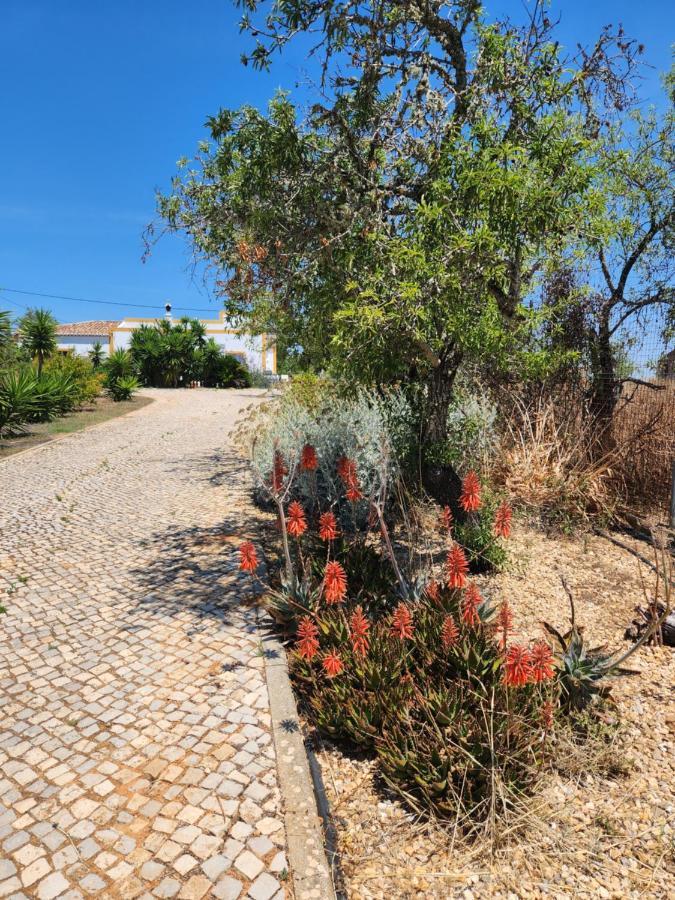 Quinta Das Amendoas Carvoeiro  Zewnętrze zdjęcie